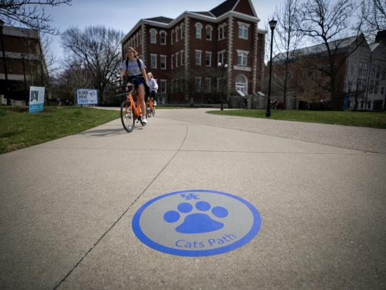 Cat's path marker on sidewalk